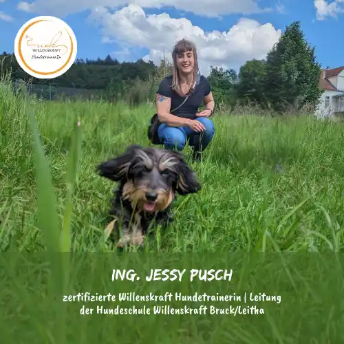 Hundetrainerin Jessy Pusch